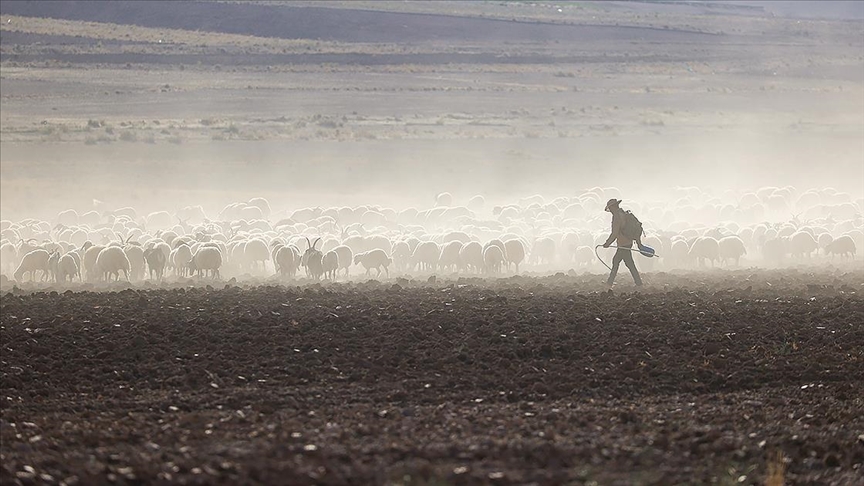 Bakan Yardımcısı Gizligider'den sözleşmeli hayvancılık ve tarıma geçiş müjdesi Bakan Yardımcısı Gizligider'den sözleşmeli hayvancılık ve tarıma geçiş müjdesi