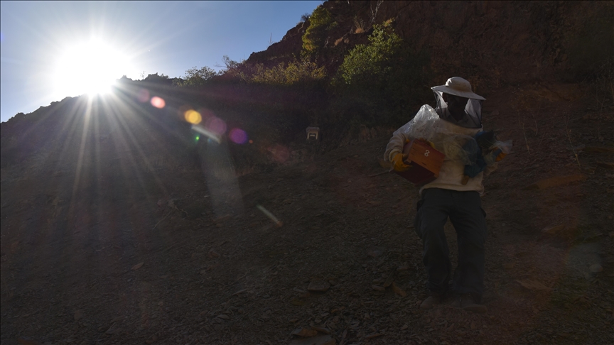 Hakkarili arıcının dağlardan güçlükle topladığı kaya balı ilgi görüyor Hakkarili arıcının dağlardan güçlükle topladığı kaya balı ilgi görüyor