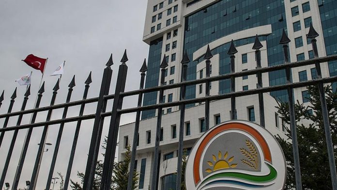 Türk gıda