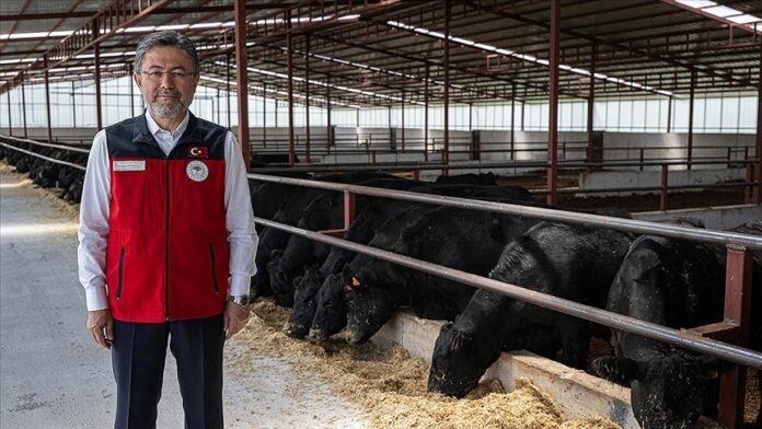 Bakan Yumaklı: Türkiye'deki büyükbaş ve küçükbaş hayvan sayısında haziran ayı itibarıyla artış yaşandı