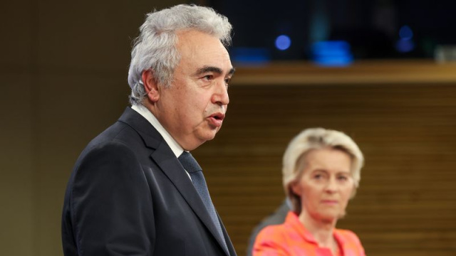 UEA Başkanı Birol: AB'nin Rus gazından çıkma kararı tarihi nitelikte